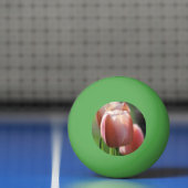 Balle De Ping Pong Tulipes roses (Filet)