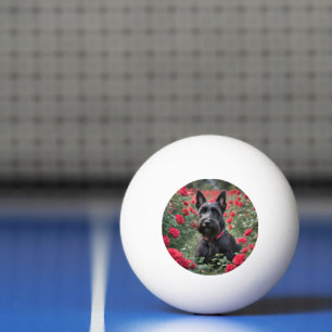 Balle De Ping Pong "Une rose rouge pour le terrier écossais noir"