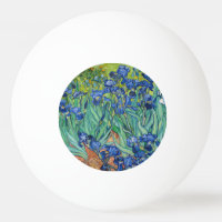 Vincent Van Gogh - Irises