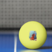 Balle De Ping Pong Violon/Violon (Filet)