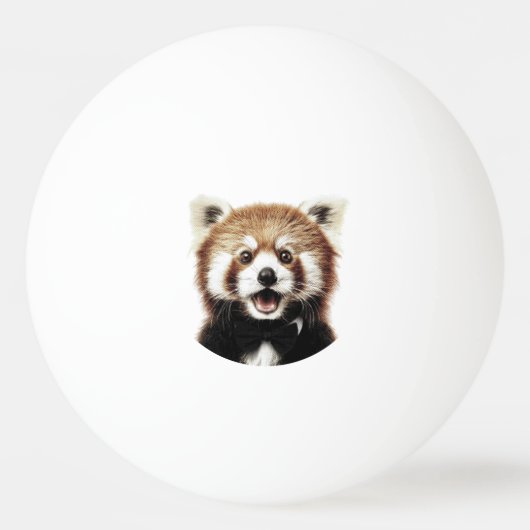 Balle De Ping Pong Visage de panda roux (Devant)