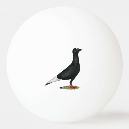 Balle De Ping Pong Vol Casquette noir Pigeon (Devant)