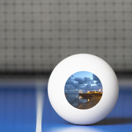 BALLE DE PING PONG VUES DES ALLES (Filet)