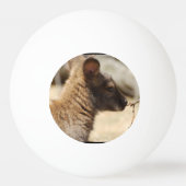 Balle De Ping Pong Wallaby doux (Dos)