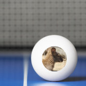 Balle De Ping Pong Wallaby doux (Filet)