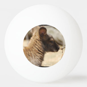 Balle De Ping Pong Wallaby doux