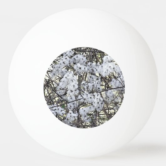 BALLE DE PING PONG WILD CLEMATIS (Devant)