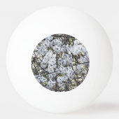 BALLE DE PING PONG WILD CLEMATIS (Dos)