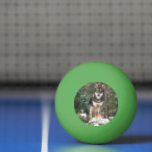 Balle De Ping Pong Wolfdog (Filet)