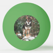 Balle De Ping Pong Wolfdog (Dos)