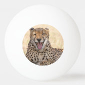 Balle De Ping Pong Yawning Cheetah (Dos)