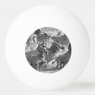 Balle De Ping Pong Zebras running