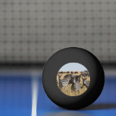 Balle De Ping Pong Zèbre de Grant (Filet)