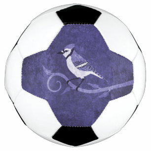 Balle de soccer bleu Jay