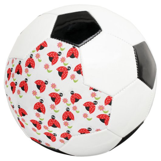 Balle de soccer Ladybug (3/4)