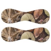 Balle De Softball Baseball Mélange Sea Shells (Panneaux)