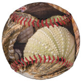 Balle De Softball Baseball Mélange Sea Shells (Dos)