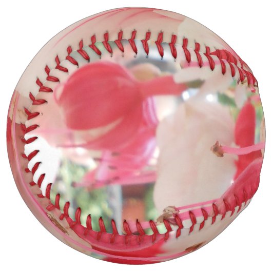 Balle De Softball Bashkirtseff (Devant gauche)