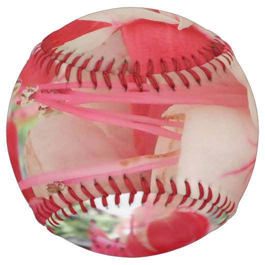 Balle De Softball Bashkirtseff (Dos)