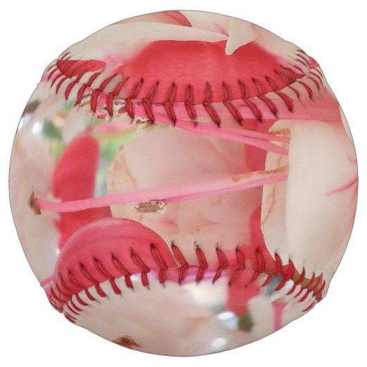 Balle De Softball Bashkirtseff (Devant)