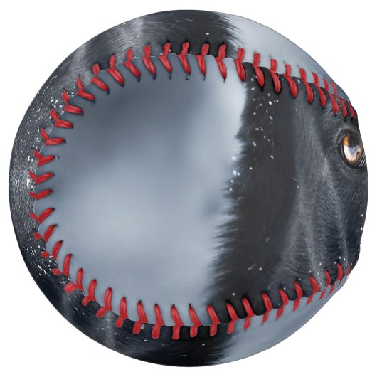 Balle De Softball Black German Shepherd (Devant gauche)