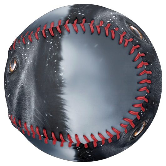 Balle De Softball Black German Shepherd (Devant droit)