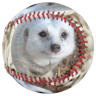 Balle De Softball Blanche Neige Le Meerkat, Softball
