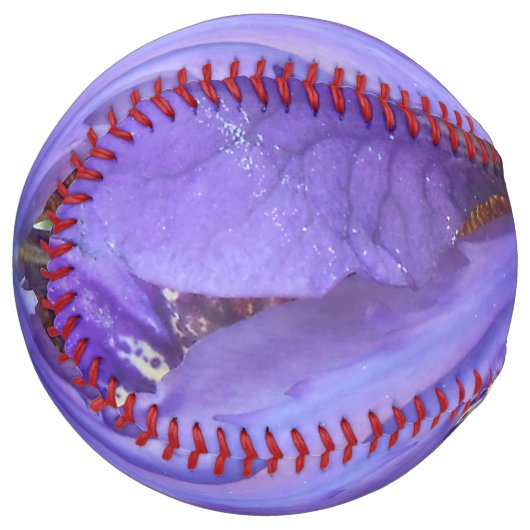 Balle De Softball Brandeis (Dos Droit)