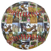 Balle De Softball Collage photo Giraffe, Softball (Dos)