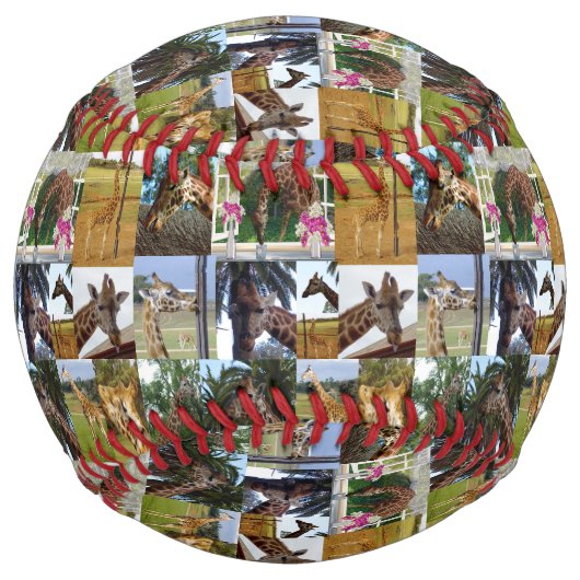Balle De Softball Collage photo Giraffe, Softball (Devant)