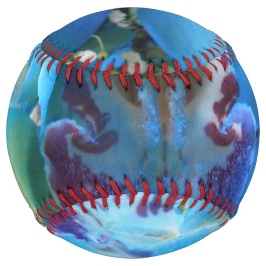 Balle De Softball Donella (Dos)