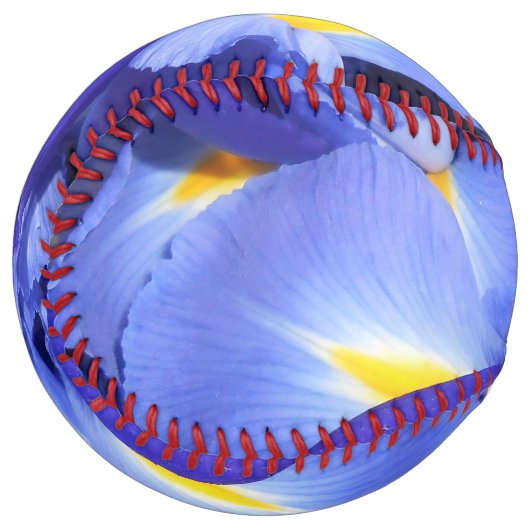 Balle De Softball Ermengarde (Devant gauche)