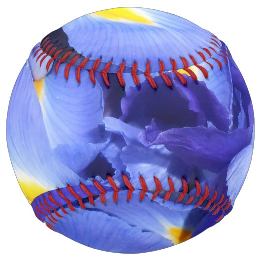 Balle De Softball Ermengarde (Dos)