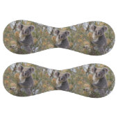 Balle De Softball Grevillea Koala Bear, (Panneaux)