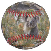 Balle De Softball Grevillea Koala Bear, (Devant)