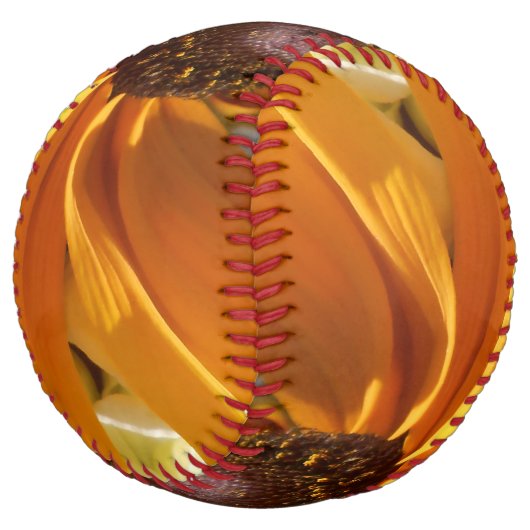 Balle De Softball Halte (Incliné)