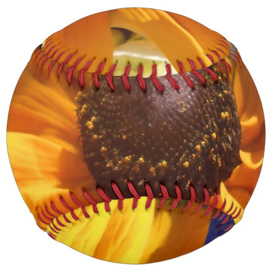 Balle De Softball Halte (Devant)