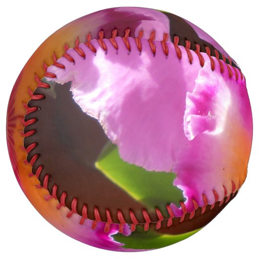 Balle De Softball Harlinde (Devant gauche)