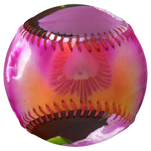 Balle De Softball Harlinde (Dos)