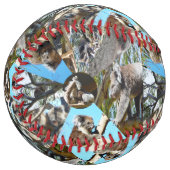 Balle De Softball Koala Bear Collarge, Softball (Devant gauche)
