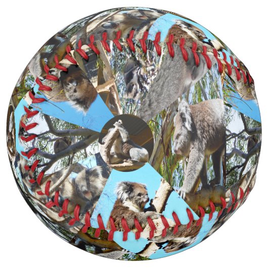 Balle De Softball Koala Bear Collarge, Softball (Devant gauche)