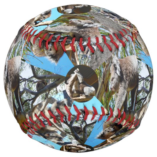 Balle De Softball Koala Bear Collarge, Softball (Devant)