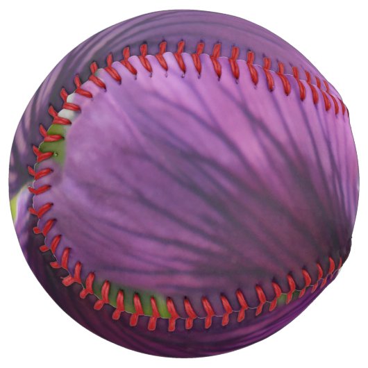 Balle De Softball Mechteld (Devant gauche)