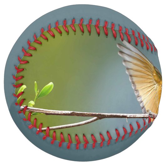 Balle De Softball Oiseaux verts s'éternisent dans les arbres Photogr (Devant gauche)