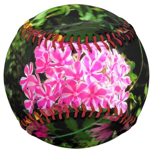 Balle De Softball Peppermint Twist Phlox dans le jardin des fleurs (Devant)