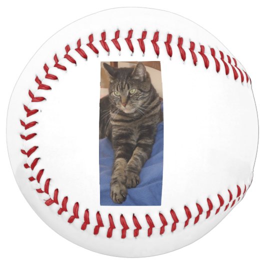 Balle De Softball Regal Dave Softball (Devant gauche)