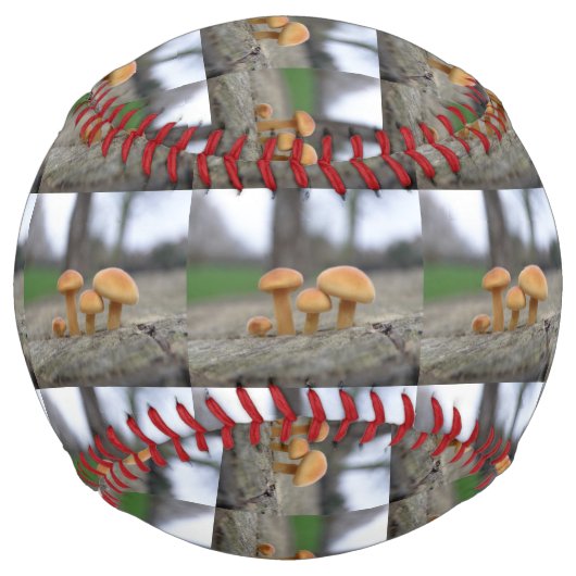 Balle De Softball Tabourets Tabourets Macro Softball (Devant)