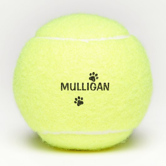 Balle de tennis de chien (Devant)