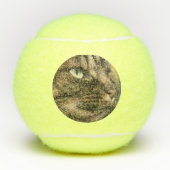 Balle de tennis pour le chien (Devant)