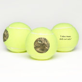 Balle de tennis pour le chien (Multiple)